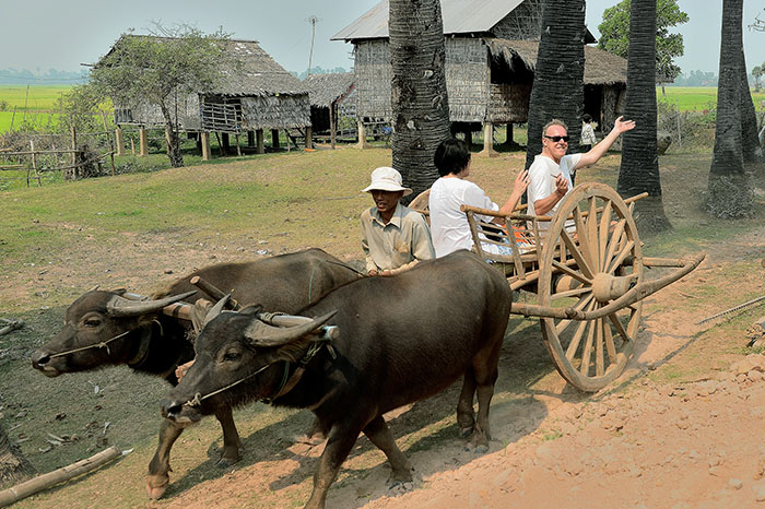 Countryside Village Oxcart Ride