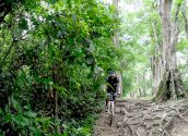 Cycling around Angkor