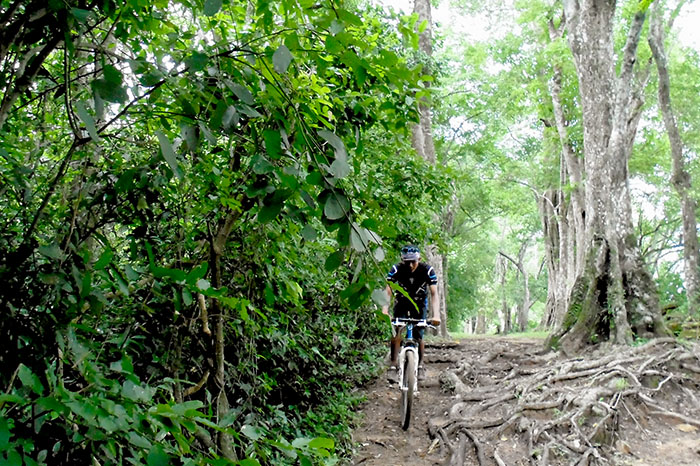 Cycling around Angkor