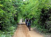 Cycling around Angkor