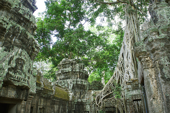 Ta Prohm temple